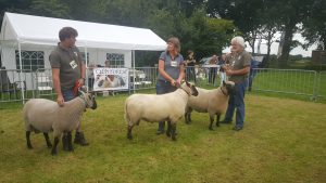 Keuring Noord @ Makkinga | Makkinga | Friesland | Nederland