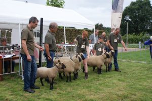Keuring Zuid @ Soerendonk | Soerendonk | Noord-Brabant | Nederland